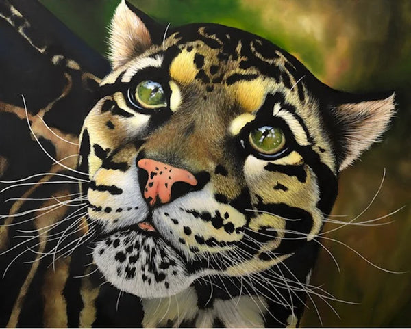 ‘Watching you’  painting of a beautiful clouded leopard.